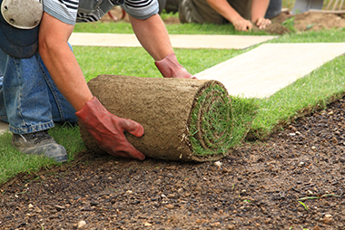 landscaping