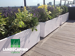 Roof Terrace Landscaping Services