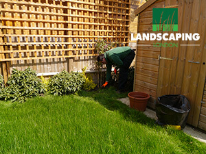 Trellis Installation in Oswestry - In Progress